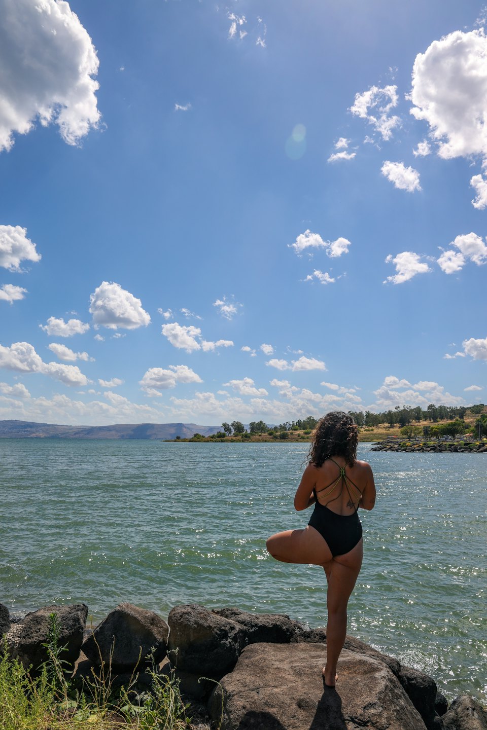 Persona in posa dell'albero yoga su rocce scure in riva al lago.