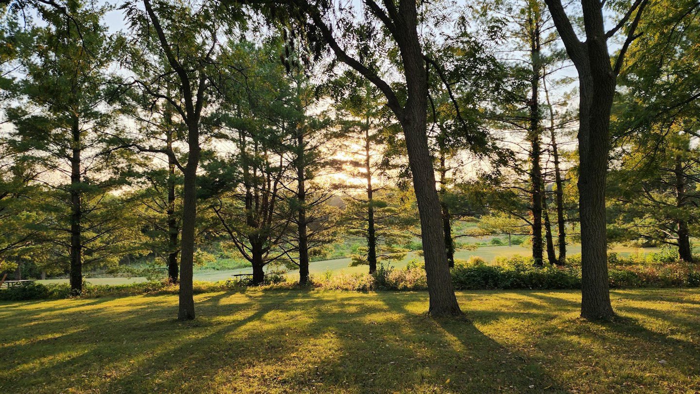 La luce del sole filtra tra gli alberi su un tranquillo stagno nella foresta.