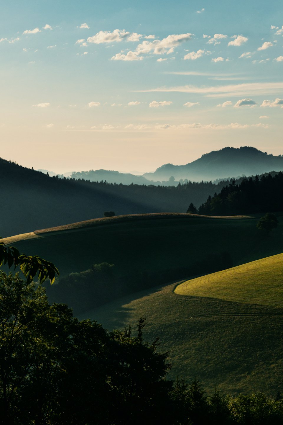 Colline verdi e ondulate con foreste scure e montagne nebbiose.