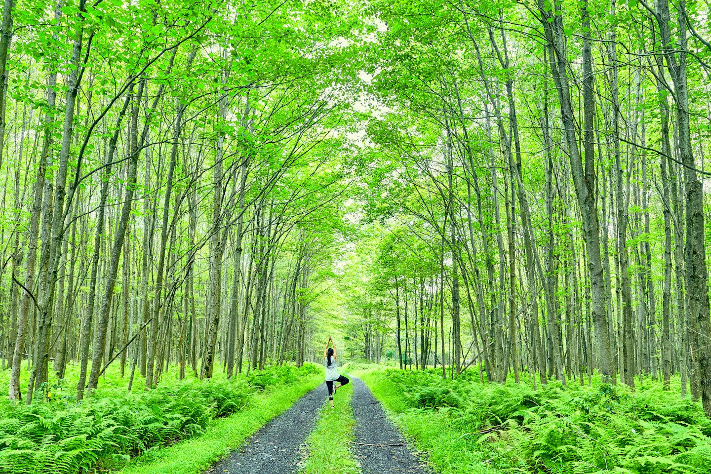 Persona in posa dell'albero yoga su un sentiero nel bosco.