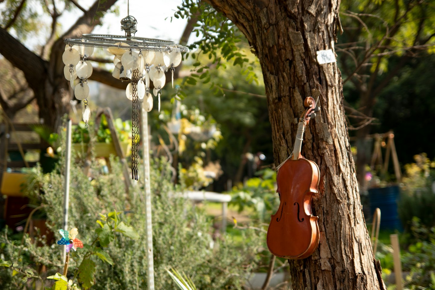 Un violino di legno appeso a un tronco d'albero ruvido.
